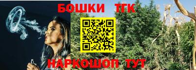 индика Владивосток