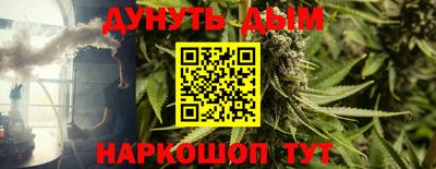 индика Владивосток