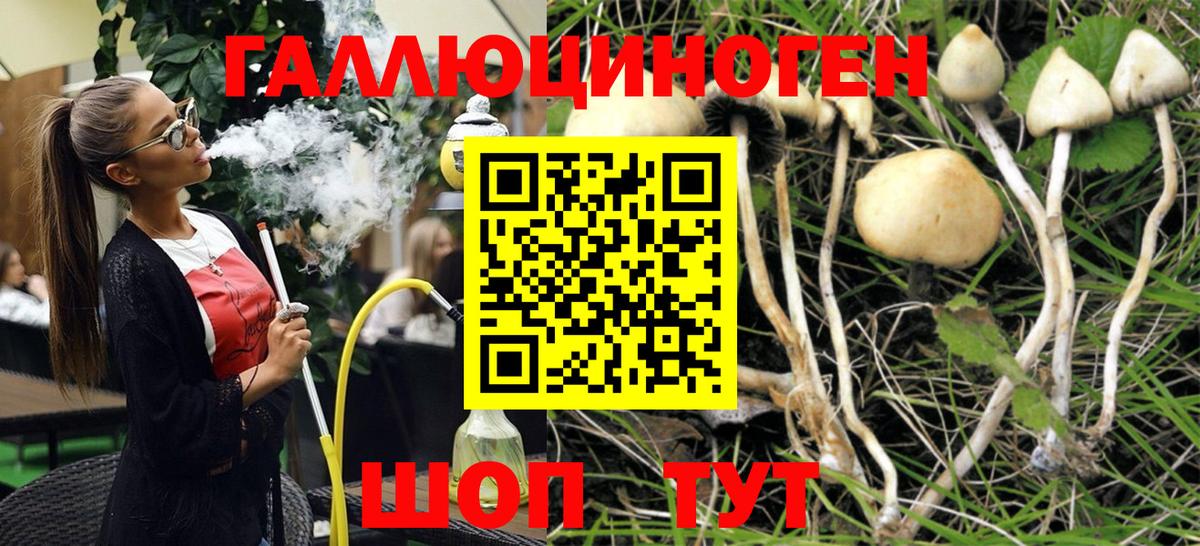 Псилоцибиновые грибы MAGIC MUSHROOMS Владивосток