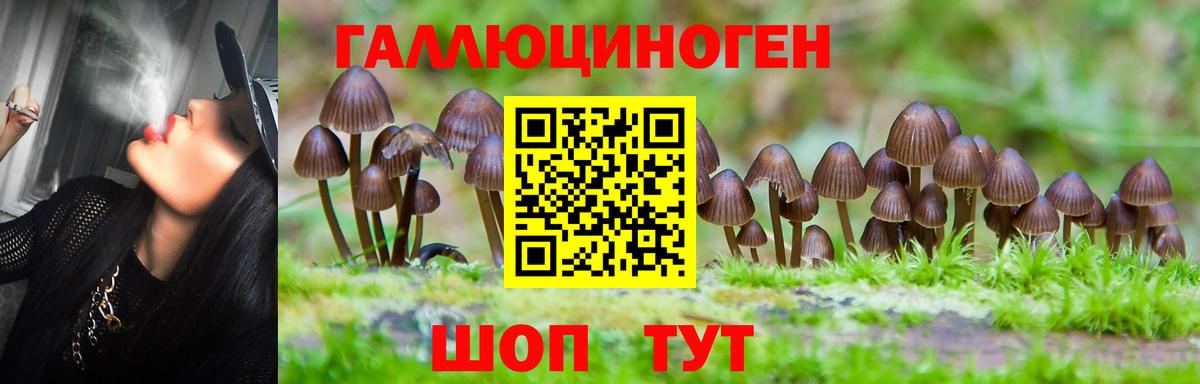 Псилоцибиновые грибы Cubensis  Псилоцибиновые грибы Cubensis  Владивосток  Вход с VPN 